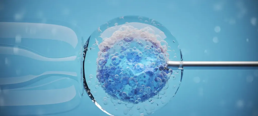 In Vitro Fertilisation (IVF)